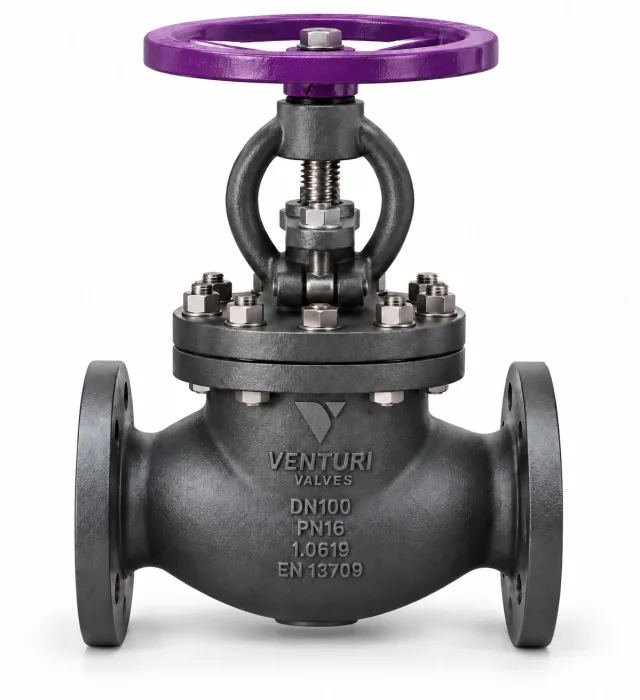Standard globe valve — Venturi